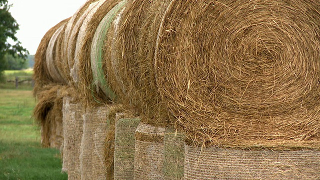 田野上的大草堆视频素材