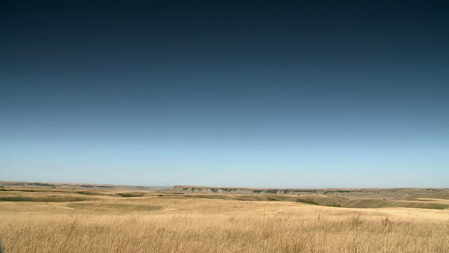 一直延伸到地平线的田野景色视频素材