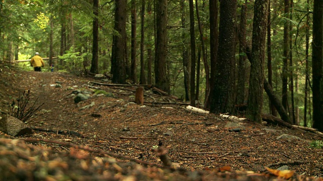 人们在森林里骑山地自行车视频素材