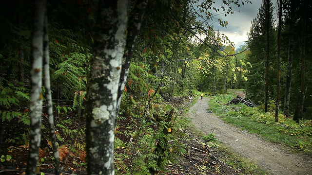 人们在森林里骑山地自行车视频素材