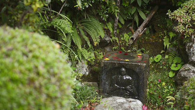 在日本京都福山的Yosen寺，MS花园的寺庙和水流视频素材