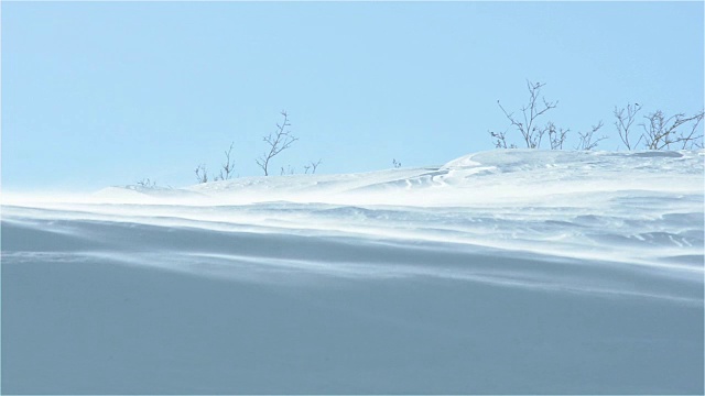 在北极，风把雪吹过小山视频素材