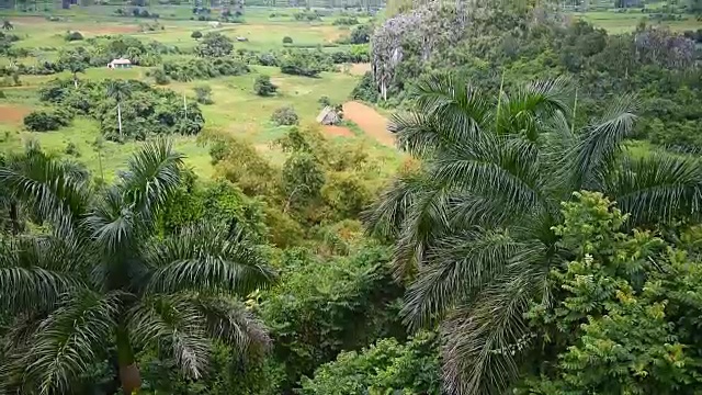 Vinales山谷:繁茂的植被和美丽的山景视频素材