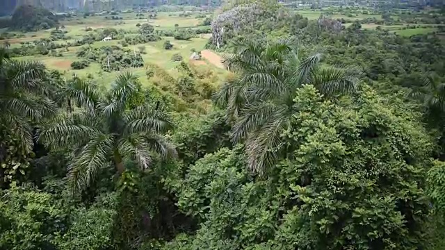 Vinales山谷:繁茂的植被和美丽的山景视频素材