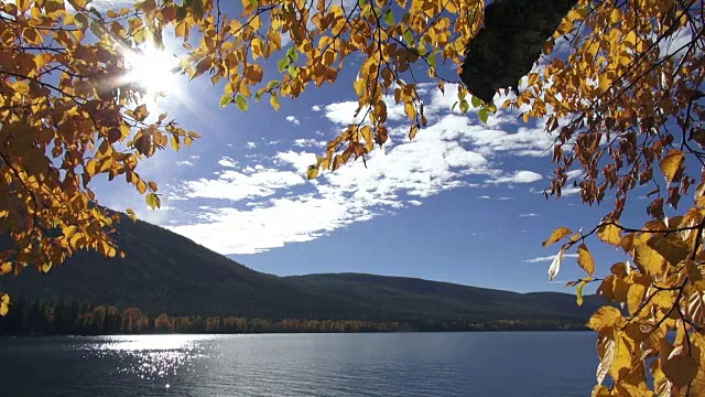 宽阔的镜头平静的山湖与金色叶子的树枝在前景。视频素材