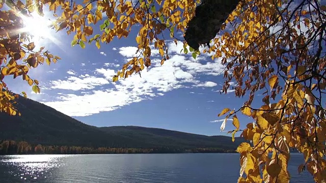 左右宽镜头拍摄了平静的山湖，前景是金色树叶的树枝。视频素材