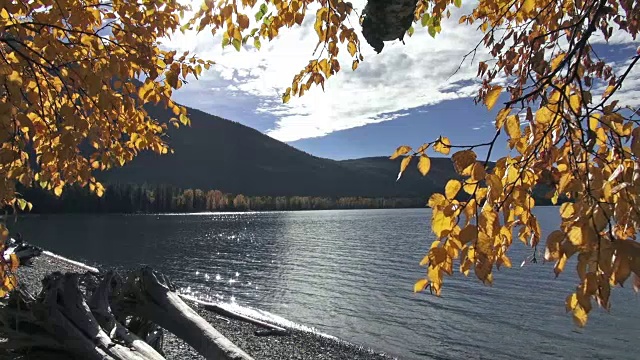 宽阔的镜头平静的山湖与金色叶子的树枝在前景。视频素材