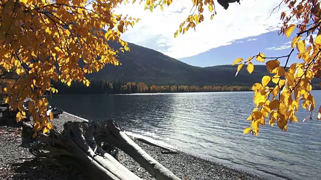 宽阔的镜头平静的山湖与金色叶子的树枝在前景。视频素材