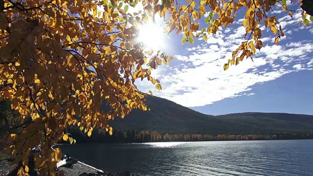 宽阔的镜头平静的山湖与金色叶子的树枝在前景。视频素材