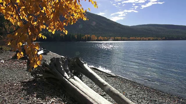 上下广泛拍摄的平静的山湖与金色树叶的树枝在前景。视频素材