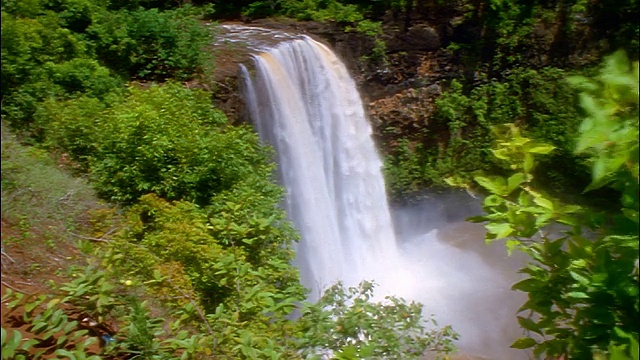 PAN从树到巨大的Wailua Falls / Kauai，夏威夷视频素材