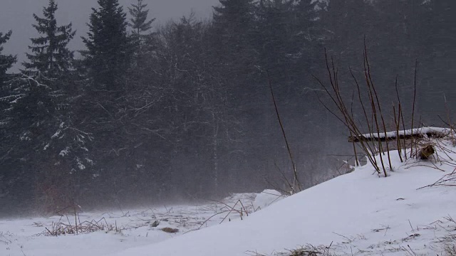 暴雪视频素材