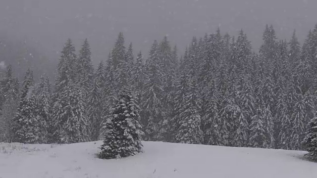 大雪视频素材