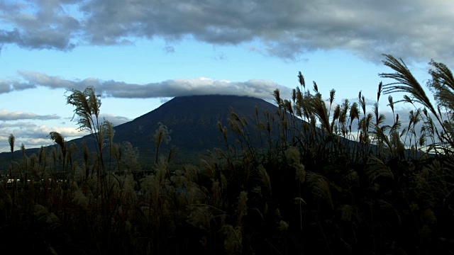 yotei山日本蒲苇草云视频素材