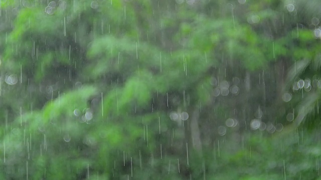 雨水和散景视频素材