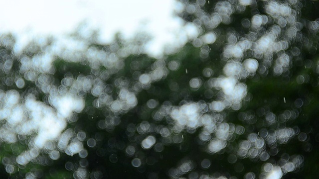 雨水和散景视频素材