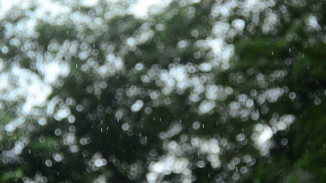 小雨淅淅沥沥视频素材