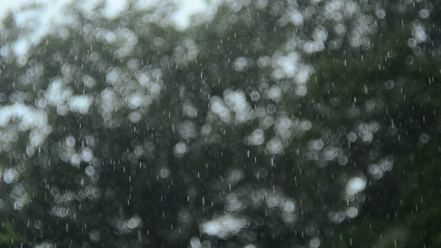 大雨和散景视频素材