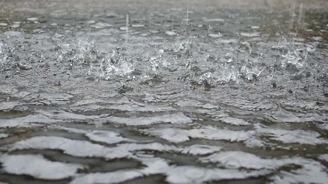 雨滴视频素材