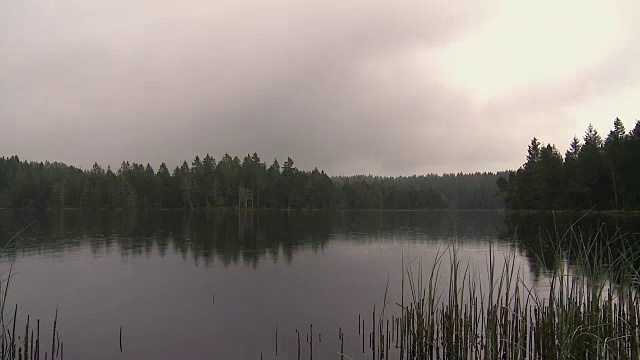 雨视频素材