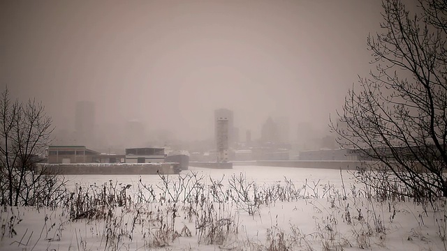 田野里在下雪视频素材