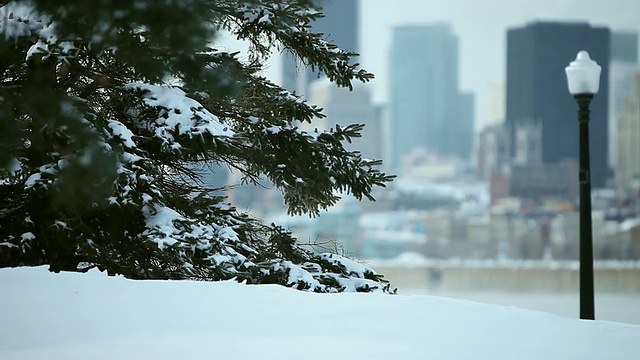 背景是被雪包围的冷杉和蒙特利尔城视频素材