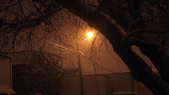 一盏路灯在黑暗中飘落着雪花视频素材