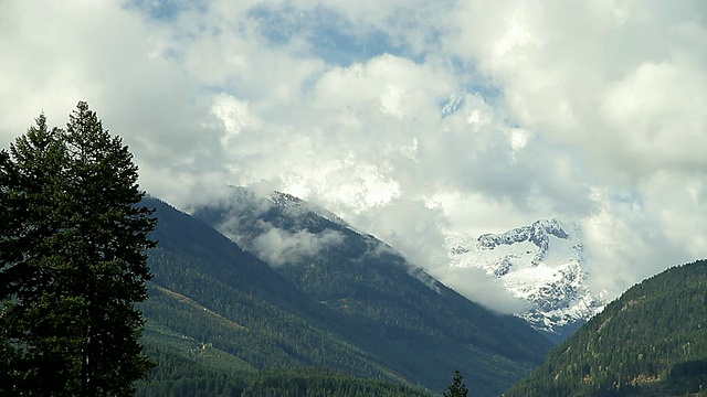 山上有很多树，可以看到雪山的山顶视频素材