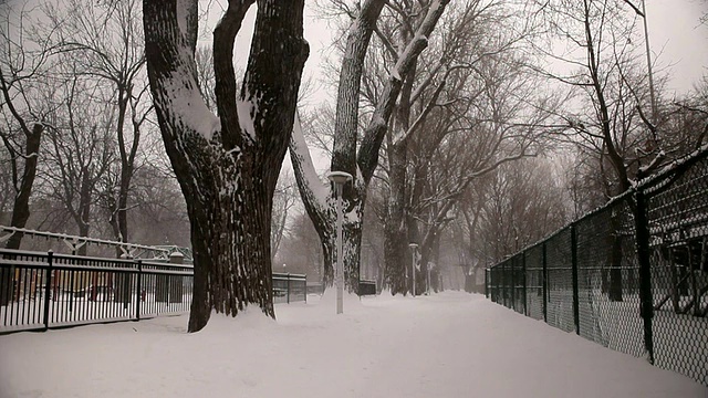 公园里正在下雪视频素材