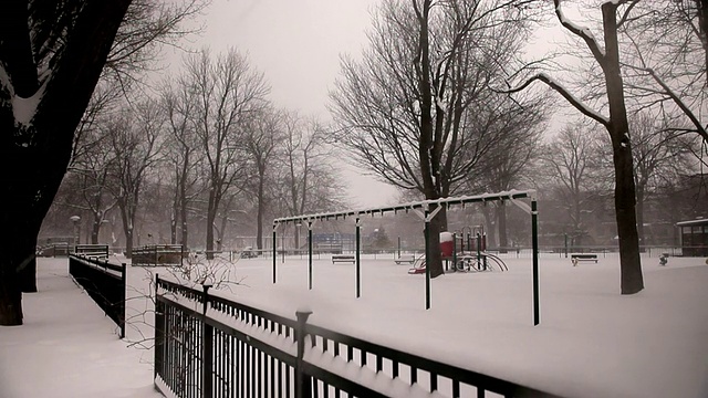 公园里正在下雪视频素材