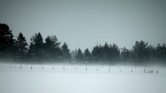 田野里有一场暴风雪视频素材