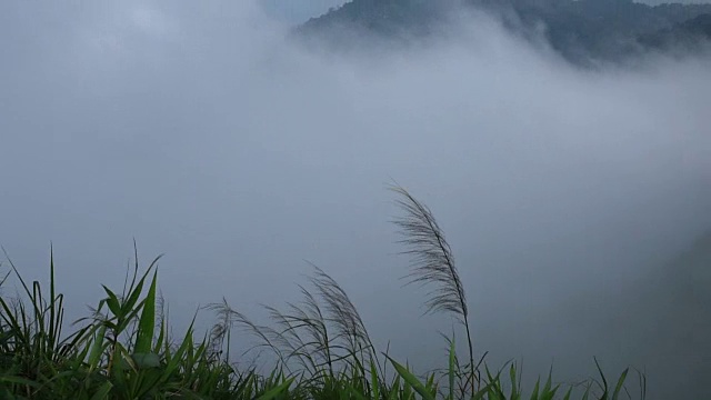 雾翻滚着流过许多人的山脉。视频素材