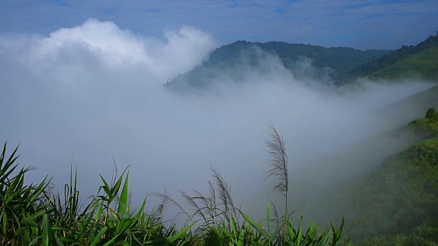 雾翻滚着流过许多人的山脉。视频素材