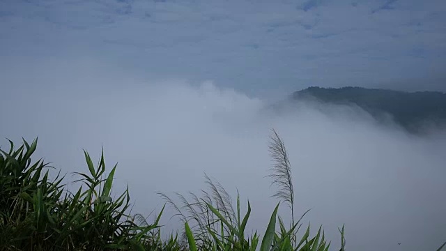 雾翻滚着流过许多人的山脉。视频素材