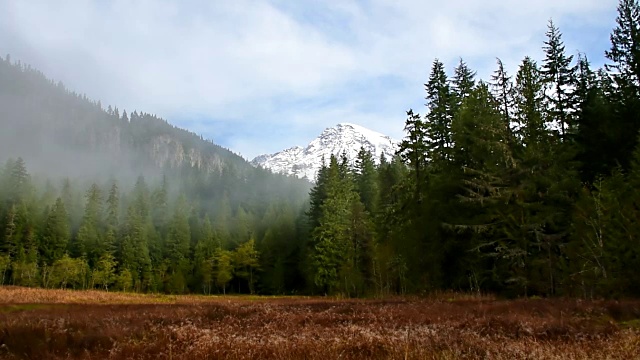 华盛顿州，雷尼尔山，风景视频素材