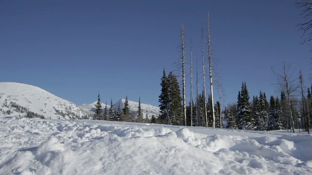 在一个阳光明媚的冬日，一对父子拉着雪橇视频素材