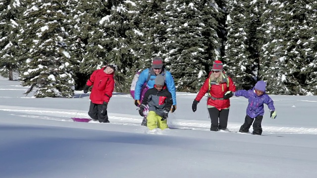 在一个阳光明媚的冬日，一家人在雪地里玩耍视频素材