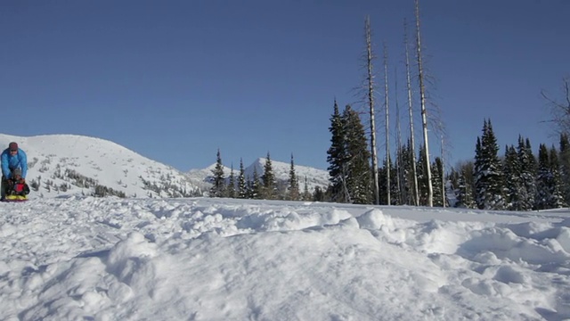 在一个阳光明媚的冬日，一对父子拉着雪橇视频素材