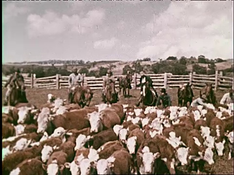 1959年去夏威夷旅游视频素材