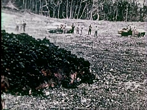 1959年夏威夷火山活动视频素材