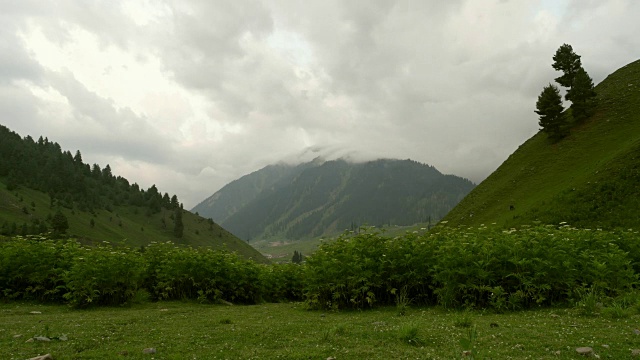 从克什米尔的草地上望向喜马拉雅山上快速移动的云视频素材