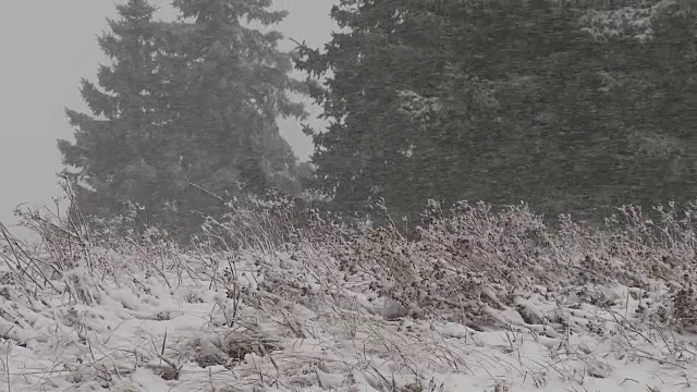 大雪视频素材