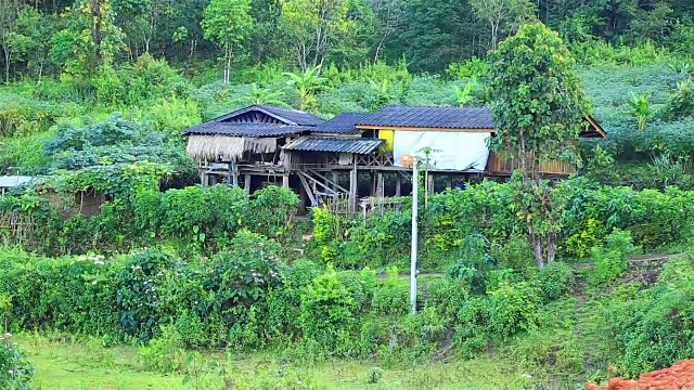 HD:自家种植在山上视频素材