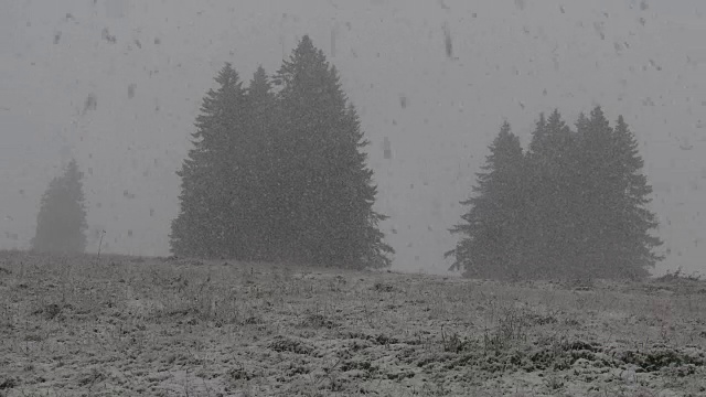 大雪视频素材