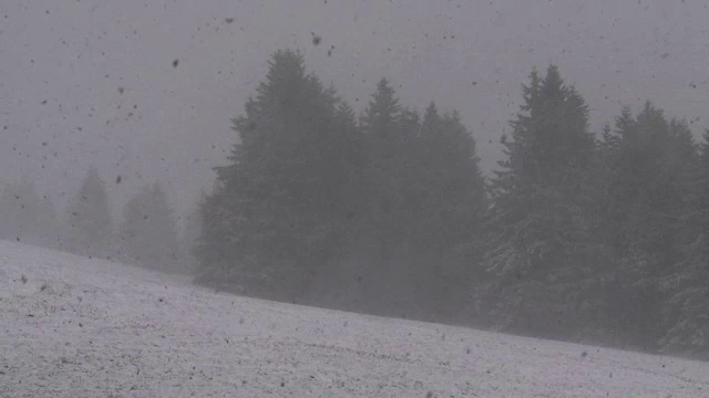 大雪视频素材