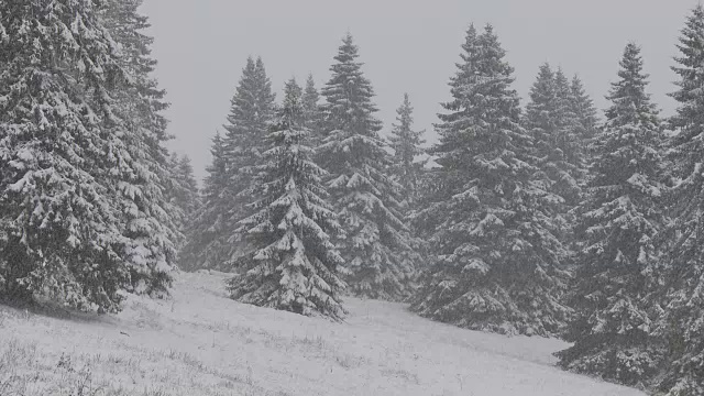 大雪视频素材