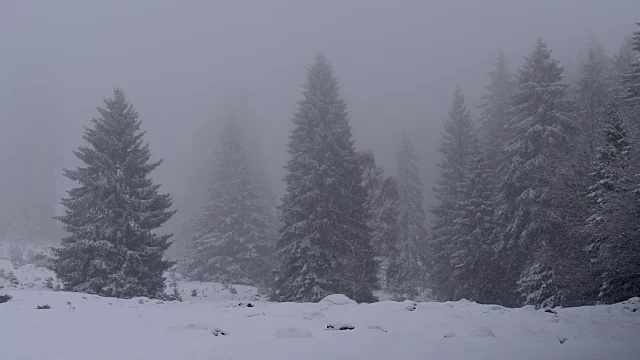 降雪视频素材