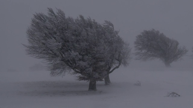 暴雪视频素材