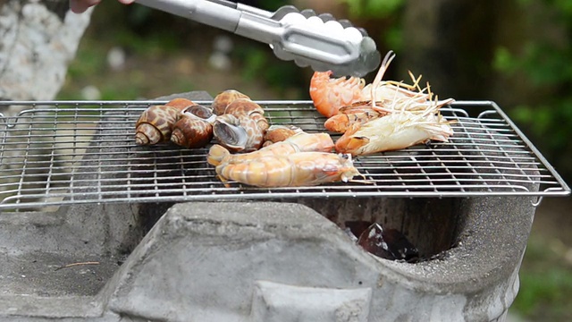 烧烤架上的肉特写镜头视频素材