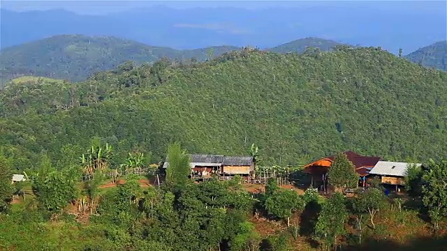 高清平移:自家种植在山上视频素材